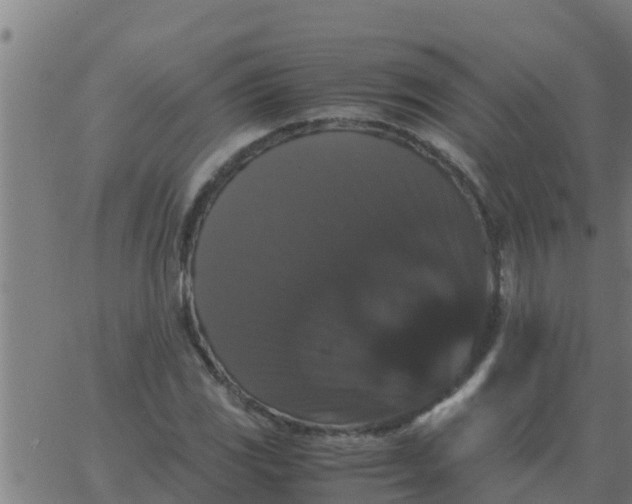 X0000062851117200601272034