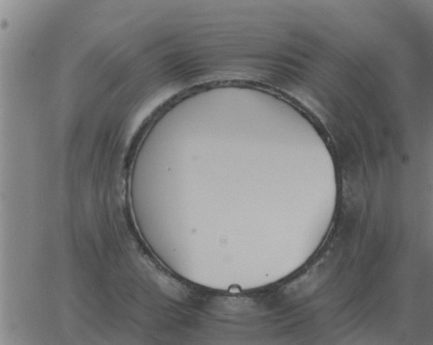 X0000062851119200601272034