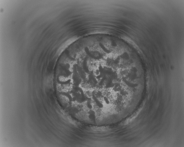 X0000062851121200601272034