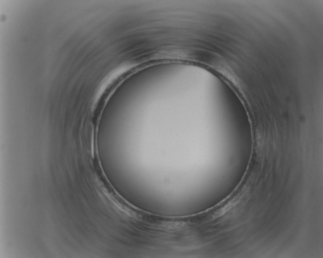 X0000062851123200601272034