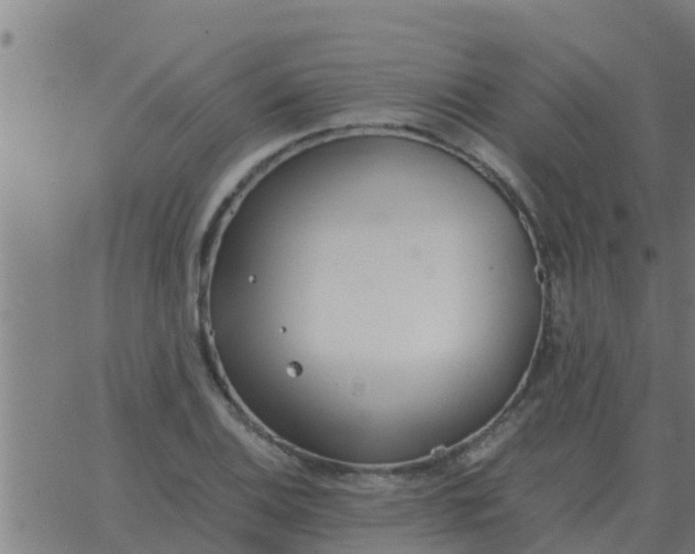 X0000062851124200601272034