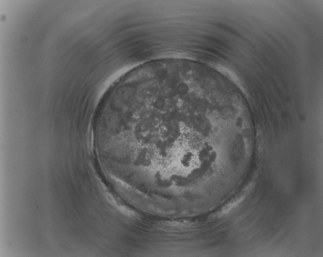 X0000062851125200601272034