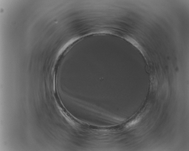 X0000062851127200601272034