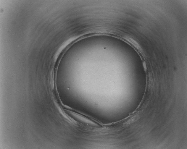 X0000062851128200601272034