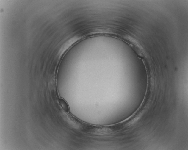 X0000062851129200601272034