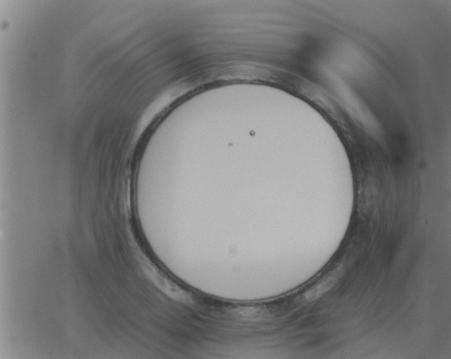 X0000062851130200601272034