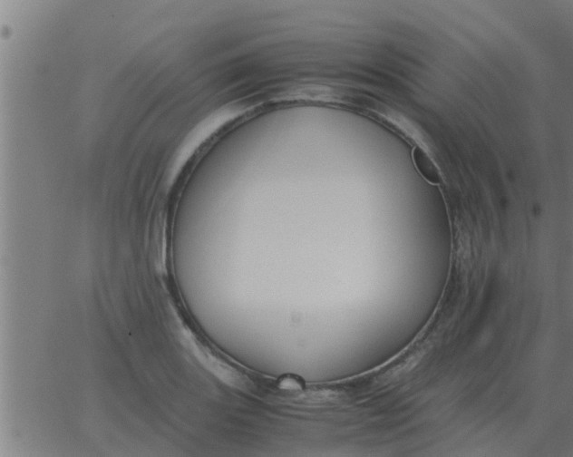 X0000062851131200601272035