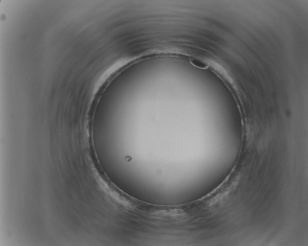 X0000062851133200601272035