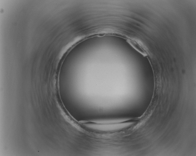 X0000062851134200601272035