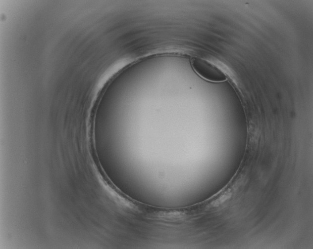 X0000062851135200601272035