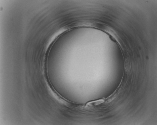 X0000062851139200601272035