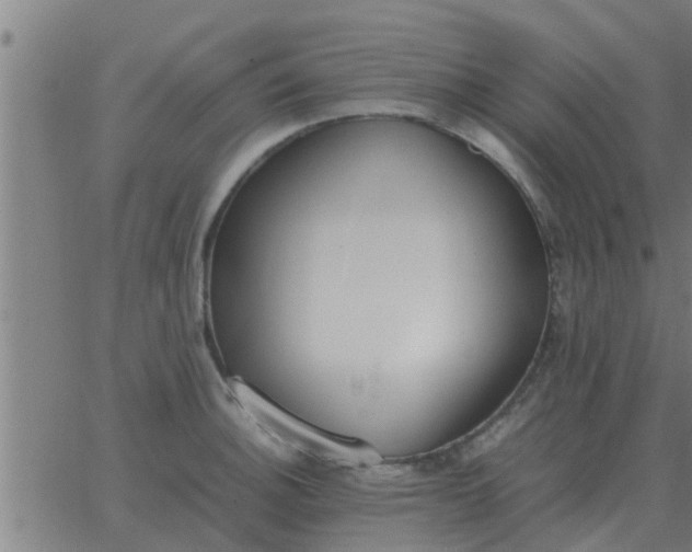 X0000062851140200601272035