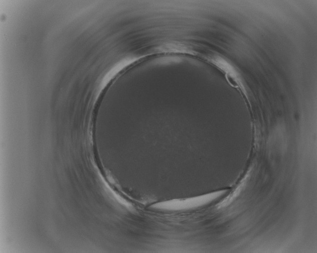 X0000062851141200601272035