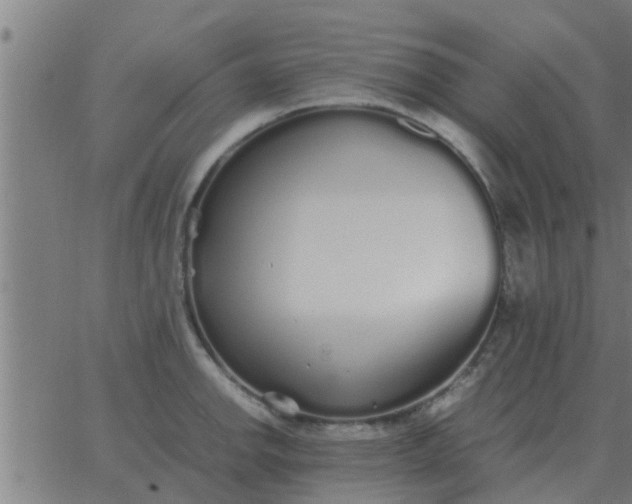 X0000062851142200601272035