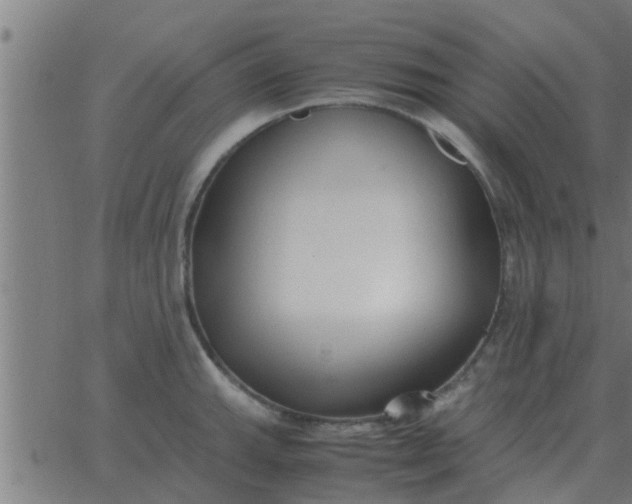 X0000062851143200601272035