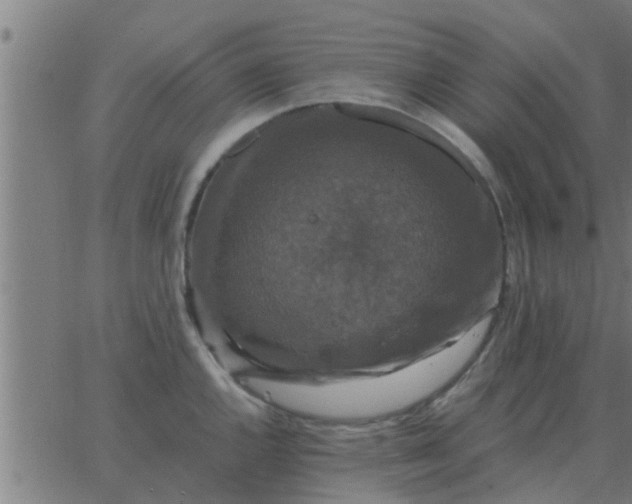 X0000062851144200601272035