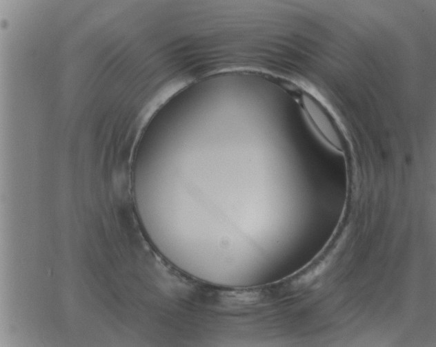 X0000062851145200601272035