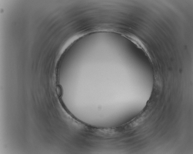 X0000062851147200601272035