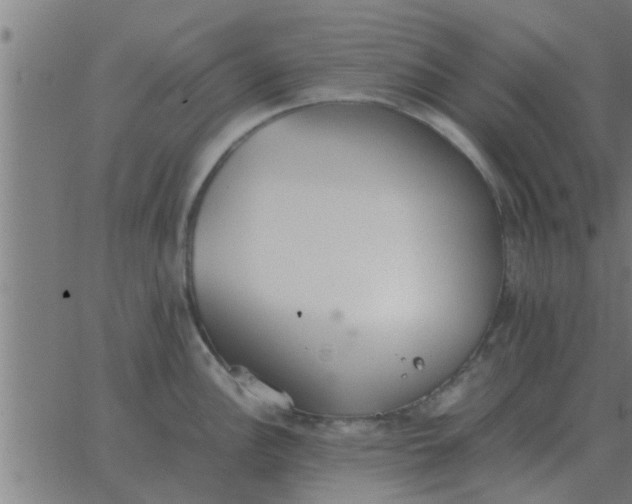 X0000062851148200601272035