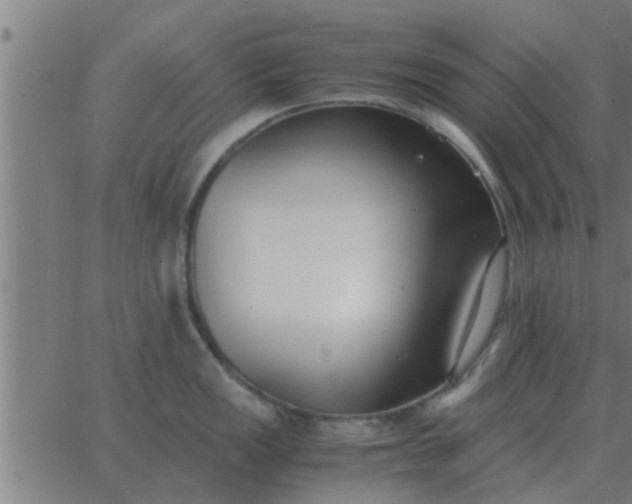 X0000062851149200601272035