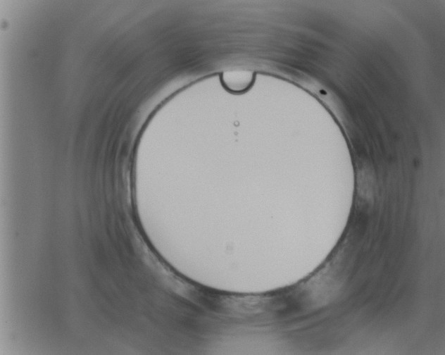 X0000062851150200601272035