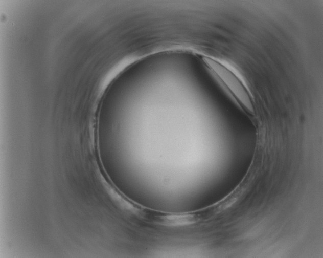 X0000062851151200601272035