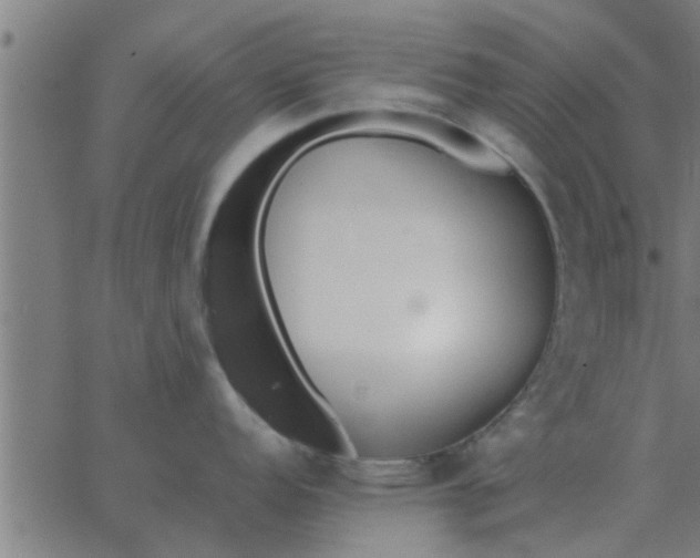 X0000062851152200601272035