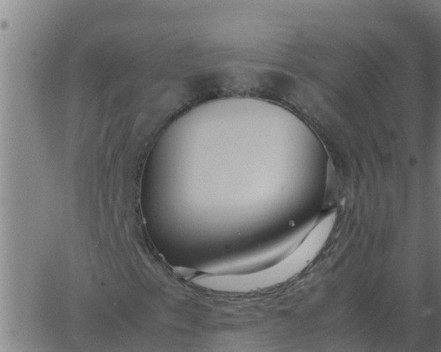 X0000062851153200601272034