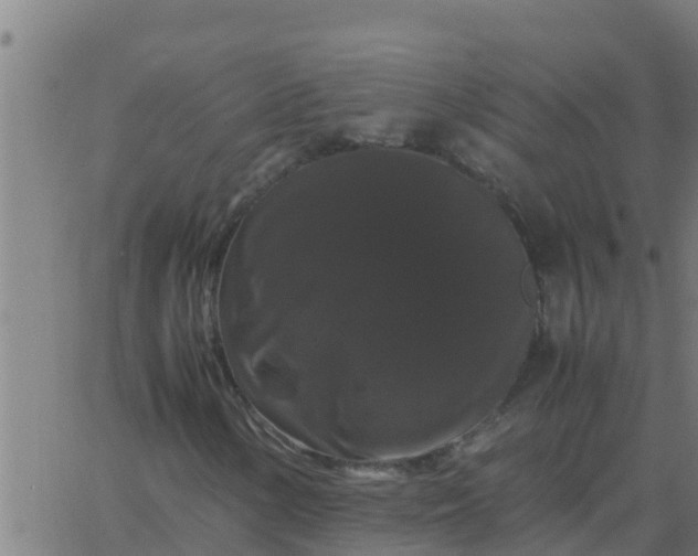 X0000062851154200601272034