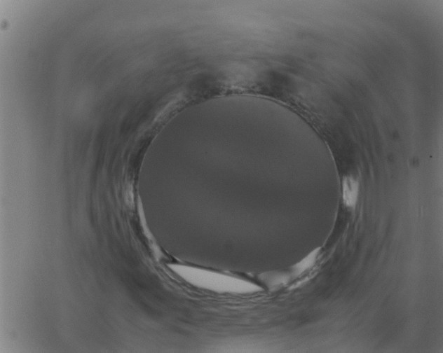 X0000062851155200601272034