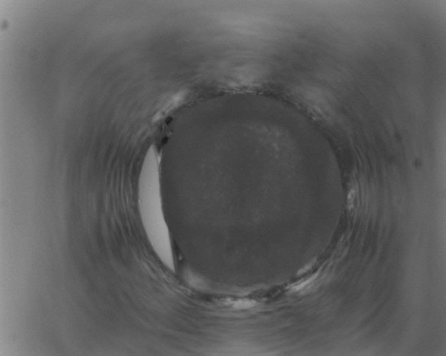 X0000062851156200601272034