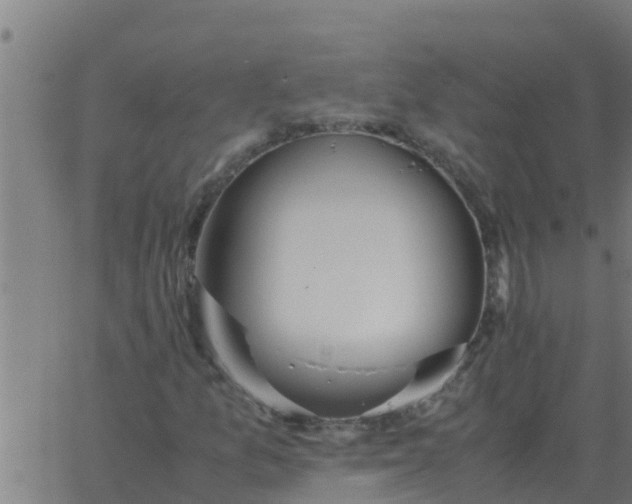 X0000062851157200601272034