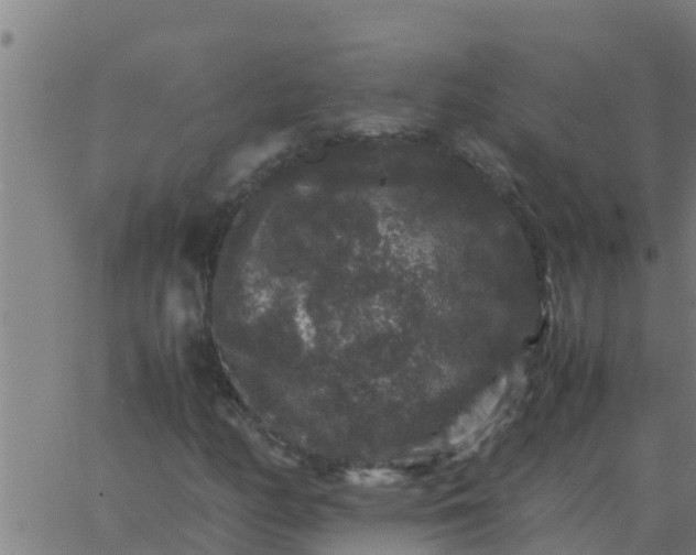 X0000062851158200601272034