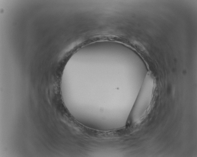 X0000062851159200601272034