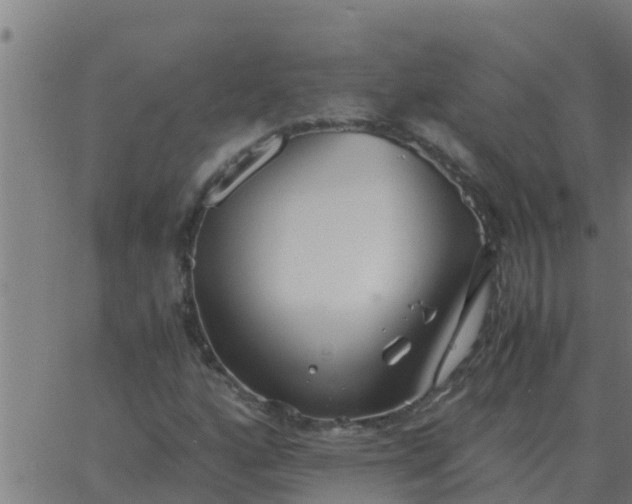 X0000062851160200601272034