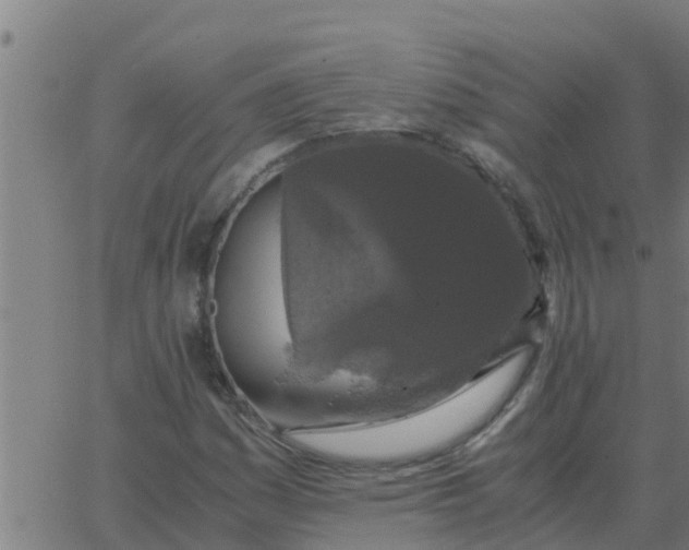 X0000062851161200601272034