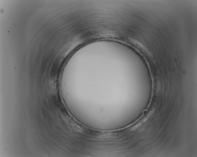 X0000062851162200601272034