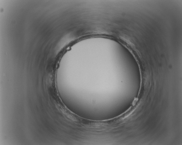 X0000062851163200601272034