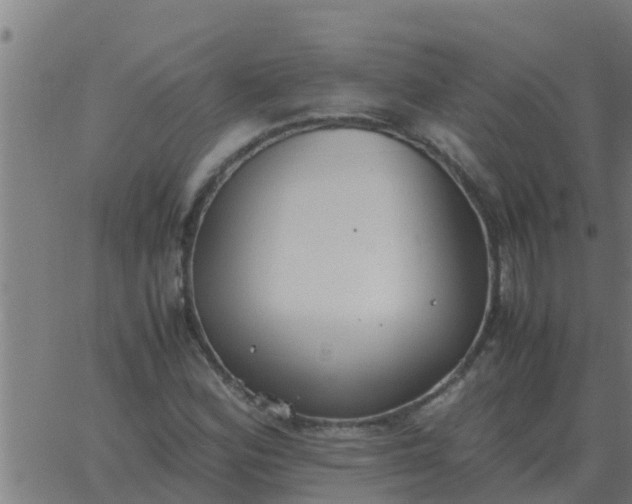 X0000062851164200601272034