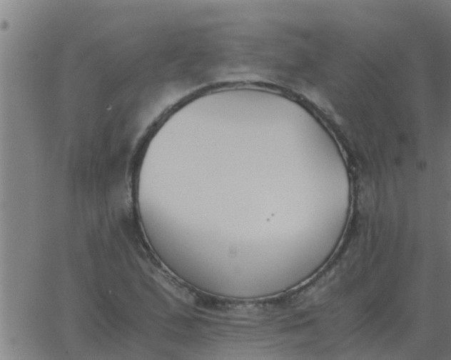 X0000062851167200601272034