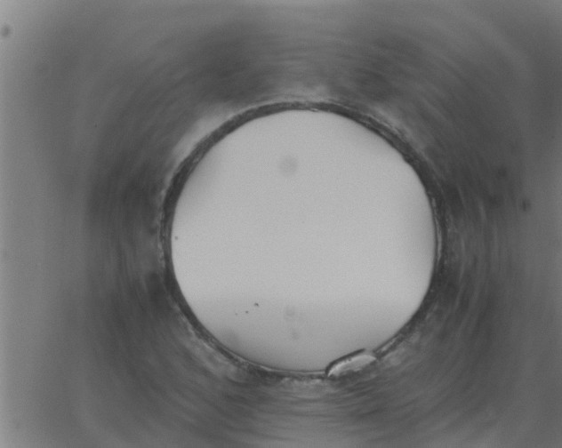 X0000062851168200601272034