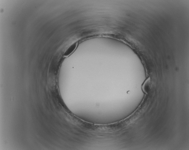 X0000062851169200601272034