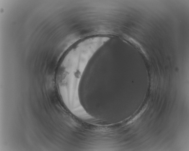 X0000062851170200601272034