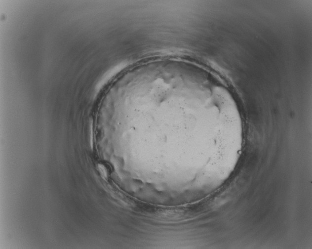 X0000062851171200601272034