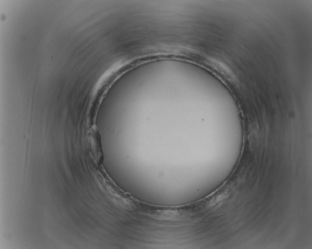 X0000062851172200601272034