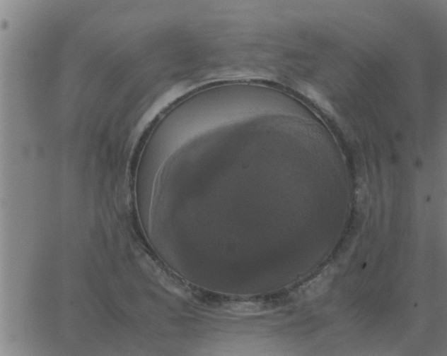 X0000062851173200601272034