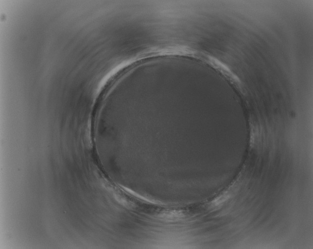 X0000062851174200601272034