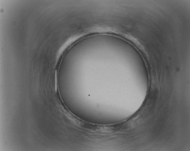 X0000062851175200601272034