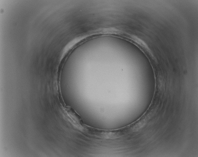 X0000062851176200601272034