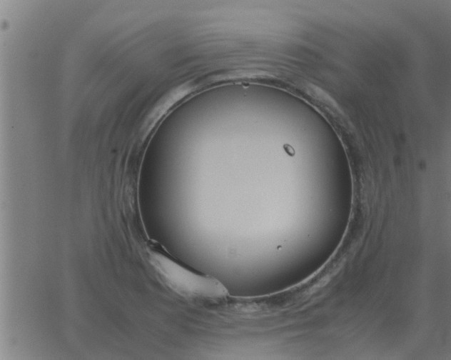 X0000062851177200601272034